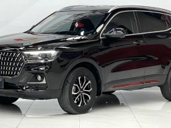 Haval H6 Nation Trend Edition City Edition 2023