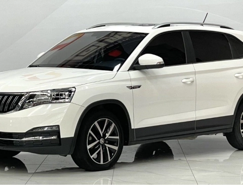 SKODA Kamiq 2021