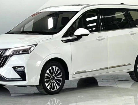 Wuiling Jiachen 2022