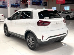 Ruilan X3 Pro  2022