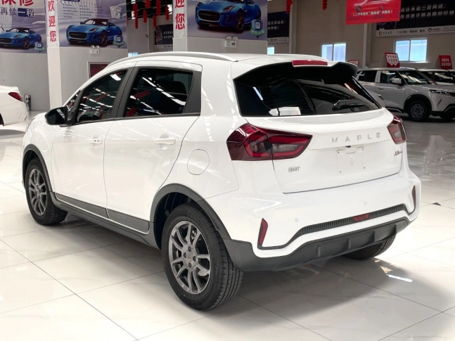 Ruilan X3 Pro  2022