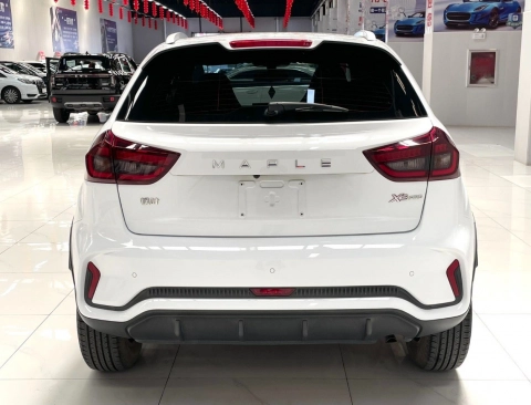 Ruilan X3 Pro 2022