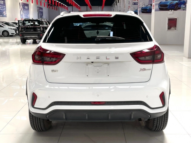Ruilan X3 Pro  2022