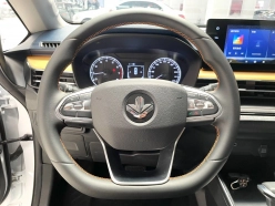 Ruilan X3 Pro  2022