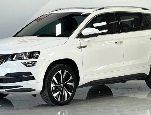 SKODA KAROQ 2021