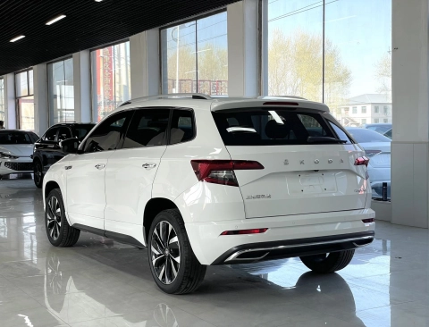 SKODA KAROQ 2021
