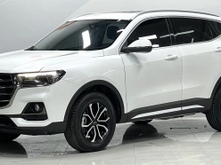 Haval H6 Guochao Edition Turbo 2022