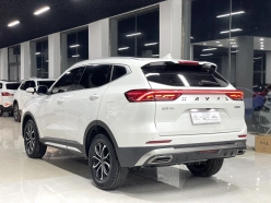 Haval H6 Guochao Edition Turbo 2022