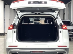Haval H6 Guochao Edition Turbo 2022