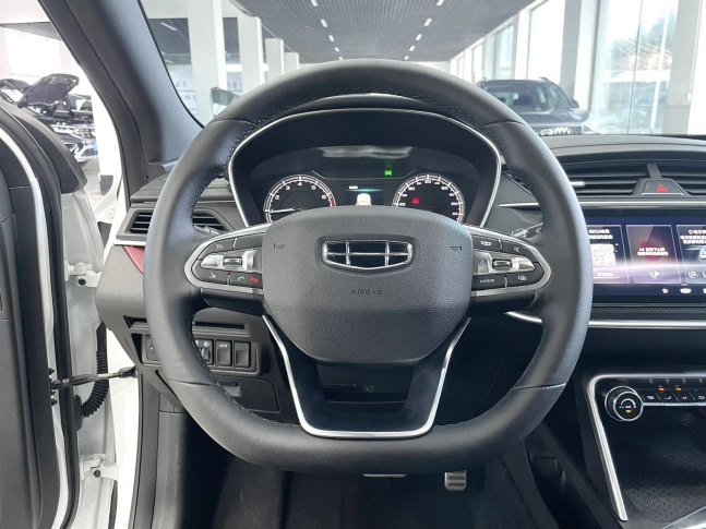 Geely Binrui F-Sport Turbo 2021