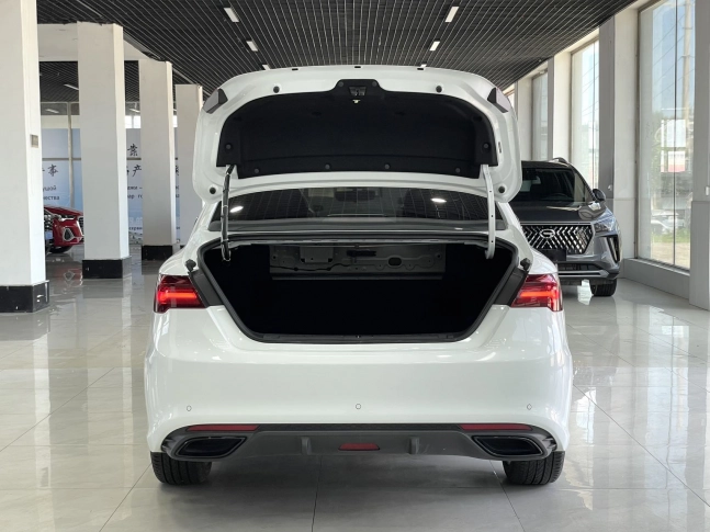 Geely Binrui F-Sport Turbo 2021