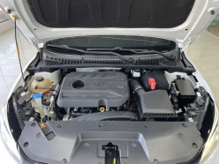 Geely Binrui F-Sport Turbo 2021