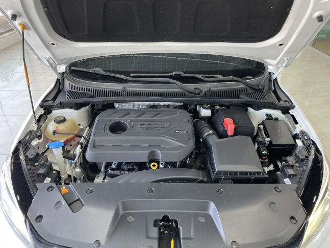 Geely Binrui F-Sport Turbo 2021